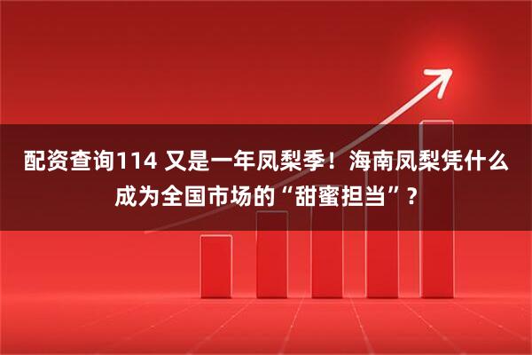 配资查询114 又是一年凤梨季!海南凤梨凭什么成为全国市场的“甜蜜担当”?