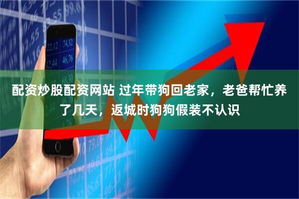配资炒股配资网站 过年带狗回老家，老爸帮忙养了几天，返城时狗狗假装不认识