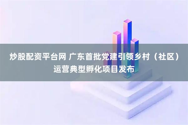 炒股配资平台网 广东首批党建引领乡村（社区）运营典型孵化项目发布